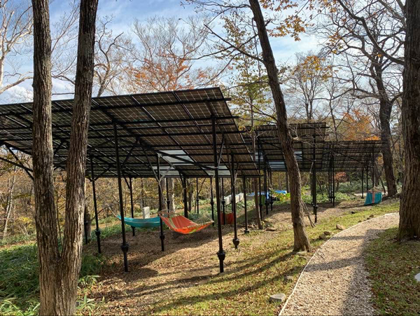 Agricultural-solar-installation-system