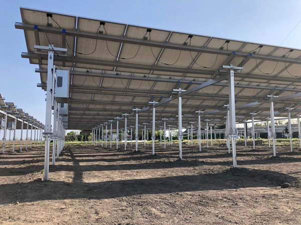 agricultural solar mounting systems